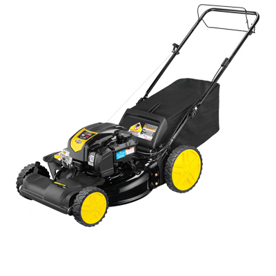 Brute by Briggs Stratton